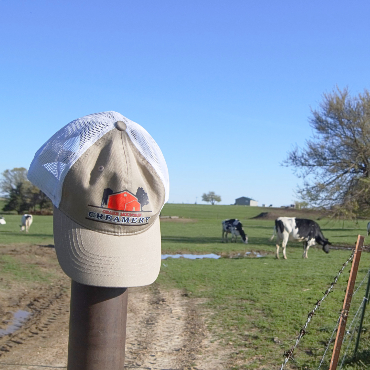 Tan/White OMC Screenprint Cap